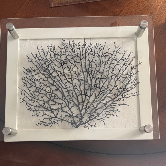 Pottery Barn Other - Pottery Barn Black and White Coral Wall Art. Rare.